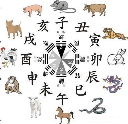 生肖屬馬 五行|屬馬的五行（金、木、水、火、土）性格和命運分析